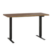 Adona Adjustable Standing Desk